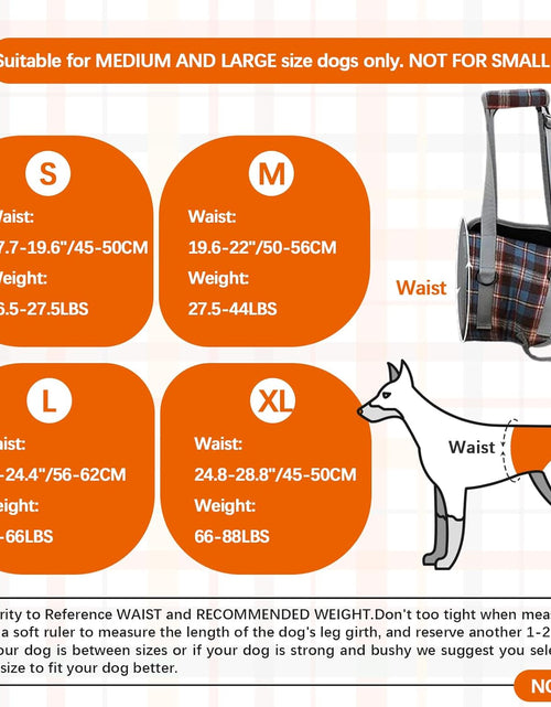 Load image into Gallery viewer, Dog Lift Harness, Grid Pet Rear Support Aid Veterinarian Approved Sling for Old K9 Help with Poor Stability, Back Leg Hip Disabled Joint Injury Elderly Arthritis ACL Rehabilitation Rehab
