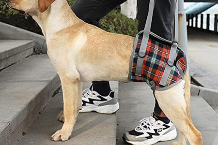 Dog Lift Harness, Grid Pet Rear Support Aid Veterinarian Approved Sling for Old K9 Help with Poor Stability, Back Leg Hip Disabled Joint Injury Elderly Arthritis ACL Rehabilitation Rehab