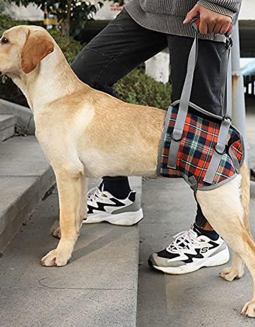 Load image into Gallery viewer, Dog Lift Harness, Grid Pet Rear Support Aid Veterinarian Approved Sling for Old K9 Help with Poor Stability, Back Leg Hip Disabled Joint Injury Elderly Arthritis ACL Rehabilitation Rehab
