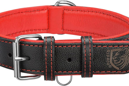 Riparo Genuine Leather Padded Dog Heavy Duty K-9 Adjustable Collar (XXL: 2” Wide for 26” - 29” Neck, Black/Red Thread)
