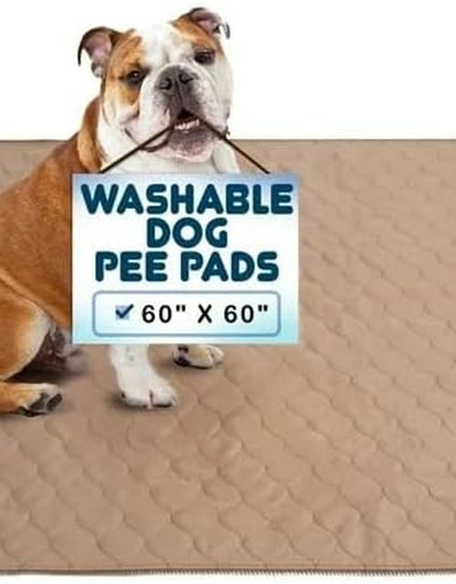 Load image into Gallery viewer, Reusable Dog Pee Pads - Dogs Waterproof Training Pads - Washable &amp; Sanitary - Rounded Corners - Laminated, Lightweight, Durable - Pet Essentials Puppy Training, Whelping - 60" X 60"
