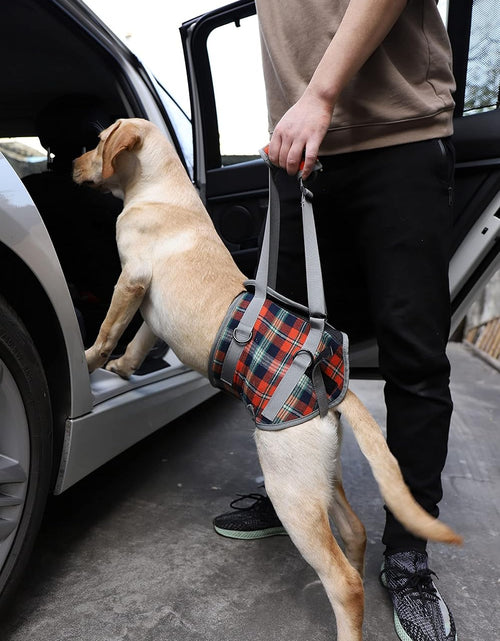 Load image into Gallery viewer, Dog Lift Harness, Grid Pet Rear Support Aid Veterinarian Approved Sling for Old K9 Help with Poor Stability, Back Leg Hip Disabled Joint Injury Elderly Arthritis ACL Rehabilitation Rehab
