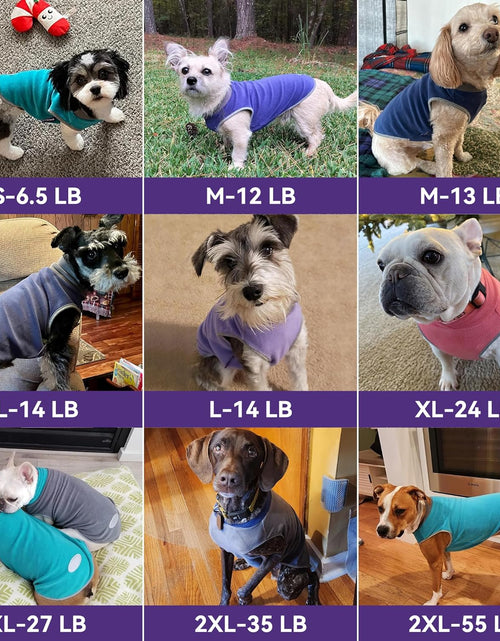 Load image into Gallery viewer, 2 Pack Dog Fleece Sweater Stretchy Sweatshirt with Reflective Stripe Pullover Soft Jacket Pet Clothes Dog Sweaters for Small Dogs Cats Grey &amp; Red

