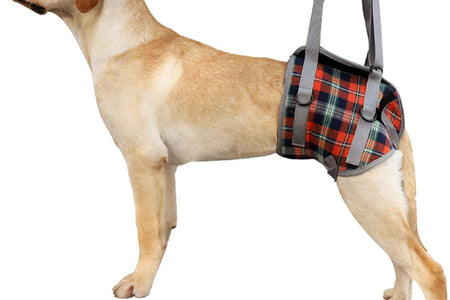 Dog Lift Harness, Grid Pet Rear Support Aid Veterinarian Approved Sling for Old K9 Help with Poor Stability, Back Leg Hip Disabled Joint Injury Elderly Arthritis ACL Rehabilitation Rehab