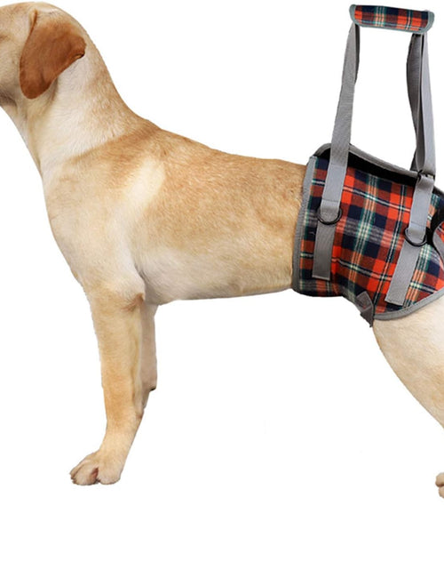 Load image into Gallery viewer, Dog Lift Harness, Grid Pet Rear Support Aid Veterinarian Approved Sling for Old K9 Help with Poor Stability, Back Leg Hip Disabled Joint Injury Elderly Arthritis ACL Rehabilitation Rehab
