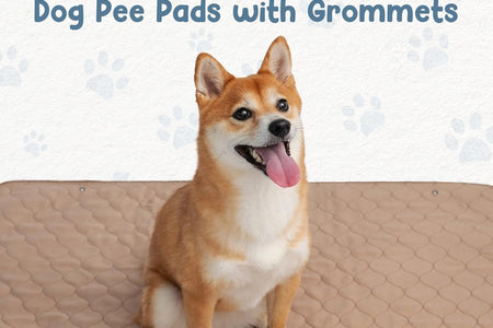 Reusable Dog Pee Pads - Dogs Waterproof Training Pads - Washable & Sanitary - Rounded Corners - Laminated, Lightweight, Durable - Pet Essentials Puppy Training, Whelping - 60" X 60"