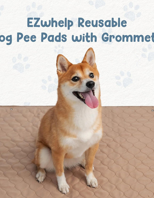 Load image into Gallery viewer, Reusable Dog Pee Pads - Dogs Waterproof Training Pads - Washable &amp; Sanitary - Rounded Corners - Laminated, Lightweight, Durable - Pet Essentials Puppy Training, Whelping - 60" X 60"
