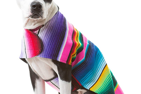 Handmade Dog Poncho from Mexican Serape Blanket - Southwestern and Tie Dye Dog Clothes - Coat - Costume - Sweater - Vest