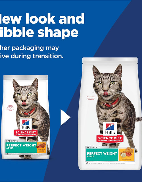 Load image into Gallery viewer, Dry Cat Food, Adult, Perfect Weight for Healthy Weight &amp; Weight Management, Chicken Recipe, 3 Lb. Bag
