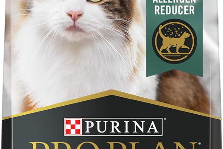 Liveclear with Probiotics Allergen Reducing Adult Dry Cat Food & Cat Shampoo