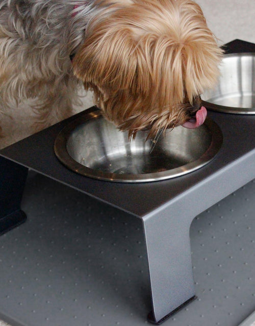 Load image into Gallery viewer, Elevated Dog Bowls, Cat Bowls -- Premium Anodized Aluminum Feeder (Short 4"). Us Food Grade Stainless Steel Raised Bowls,Metallic Gray
