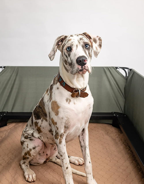 Load image into Gallery viewer, Reusable Dog Pee Pads - Dogs Waterproof Training Pads - Washable &amp; Sanitary - Rounded Corners - Laminated, Lightweight, Durable - Pet Essentials Puppy Training, Whelping - 60" X 60"
