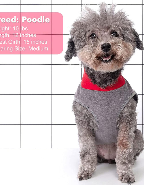 Load image into Gallery viewer, 2 Pack Dog Fleece Sweater Stretchy Sweatshirt with Reflective Stripe Pullover Soft Jacket Pet Clothes Dog Sweaters for Small Dogs Cats Grey &amp; Red

