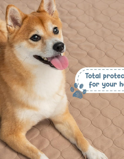 Load image into Gallery viewer, Reusable Dog Pee Pads - Dogs Waterproof Training Pads - Washable &amp; Sanitary - Rounded Corners - Laminated, Lightweight, Durable - Pet Essentials Puppy Training, Whelping - 60" X 60"

