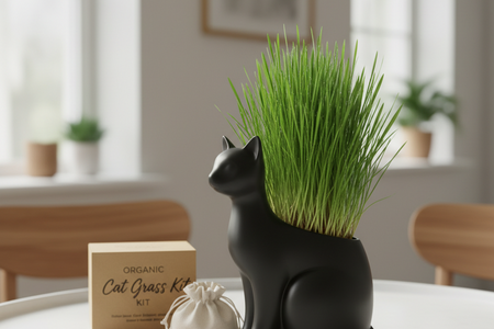 Organic Cat Grass Kit with Black Cat Ceramic Planter, Easy Indoor Planting Gift Set